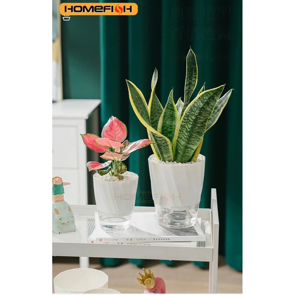 Self Watering Transparent Flower Pot 5