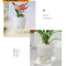 Self Watering Transparent Flower Pot 9