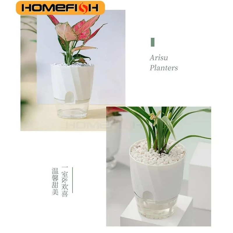 Self Watering Transparent Flower Pot 9