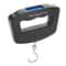 Digital Portable Luggage Hanging Scale 2
