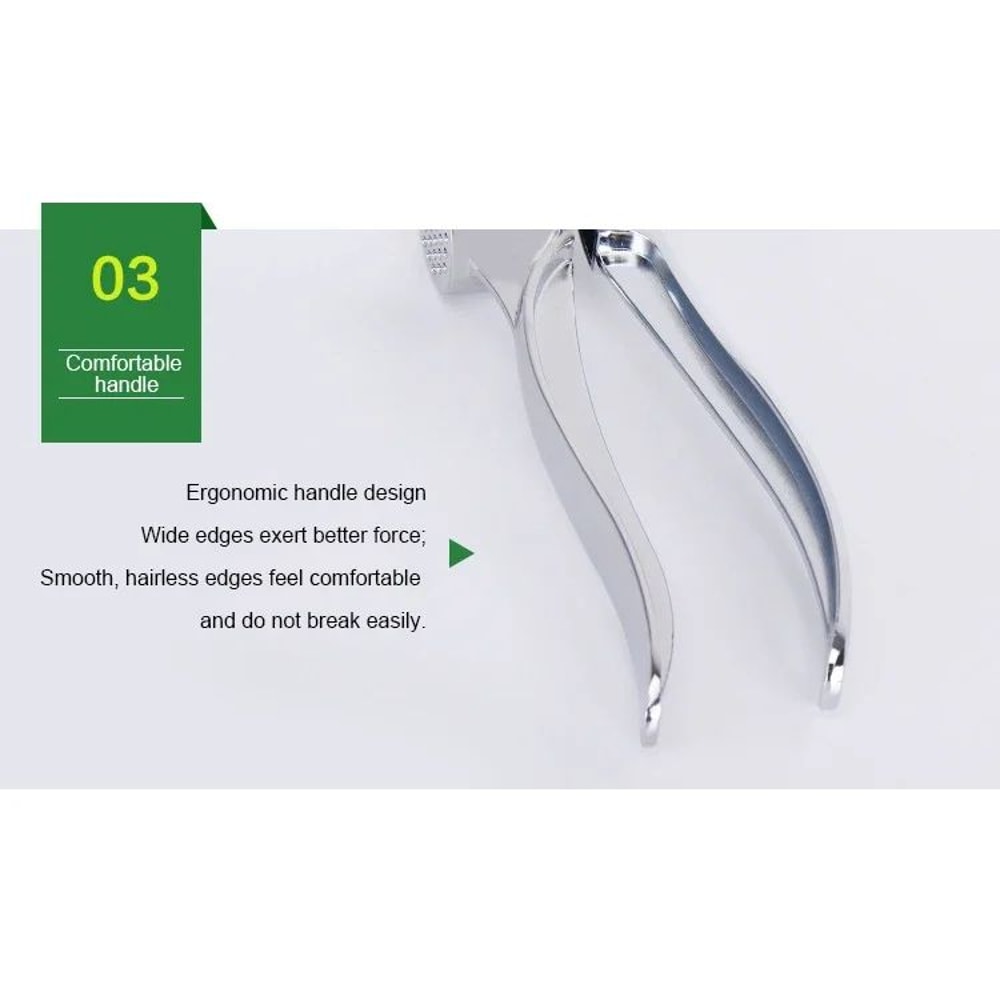 Stainless Steel Garlic Masher And Ginger Press 10