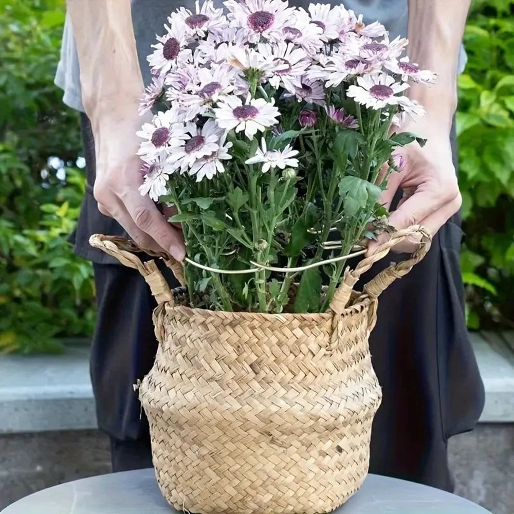 Large Hanging Plant Stand With Iron Hook 4