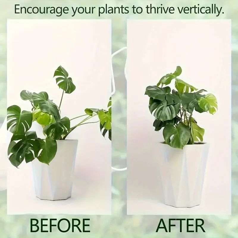 Large Hanging Plant Stand With Iron Hook 6