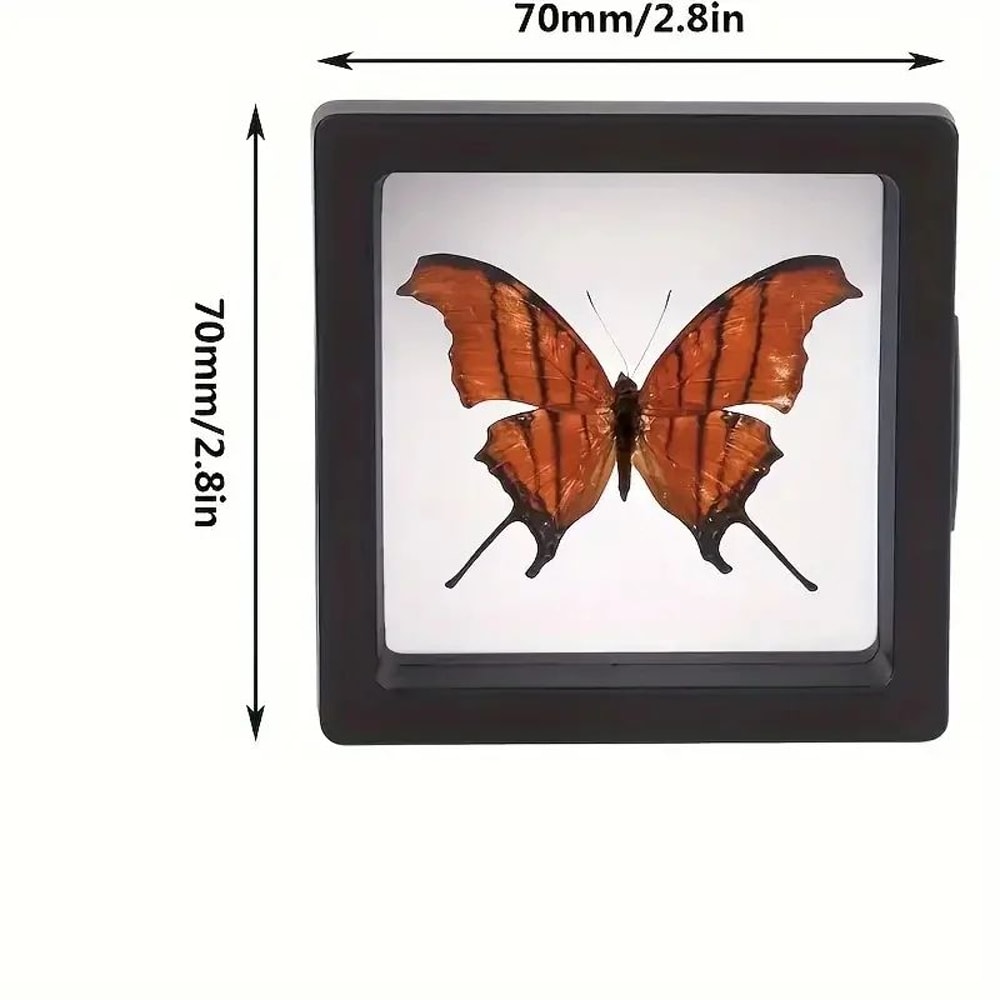 Clear 3D Floating Display Case Jewelry Organizer Set 1