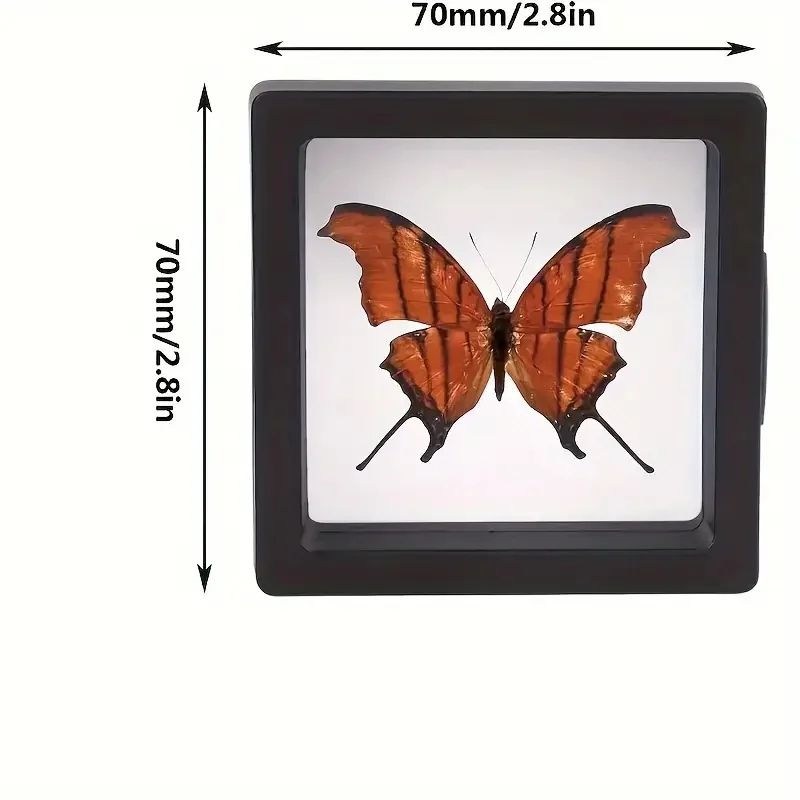 Clear 3D Floating Display Case Jewelry Organizer Set 1