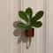 Solid Wood Magnetic Vase For Refrigerator Decor 3