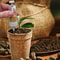 Handheld Seed Dispenser Manual Garden Tool 3