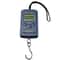 Portable Digital Hanging Scale 50kg 5