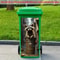 Cute Raccoon Trash Can Sticker 2