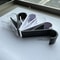 Multi Purpose Hanger Clip Storage Rack 5
