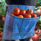 Waterproof Fruit Picking Apron Bag 4