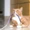 Durable Cat Teething Rope Toy 7