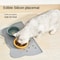 Waterproof Silicone Pet Feeding Mat 1