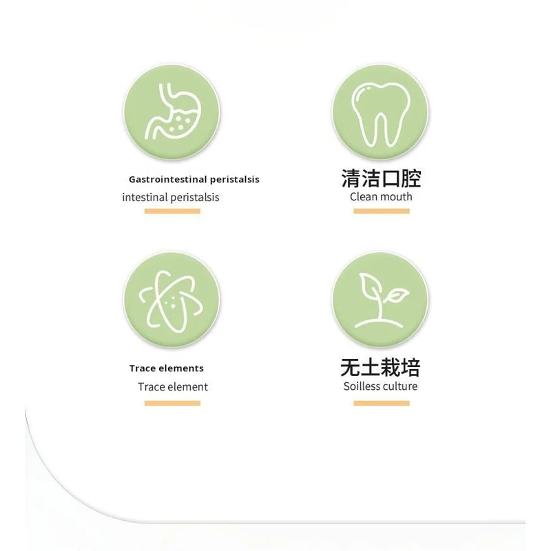 Hydroponic Cat Grass Growing Kit 6