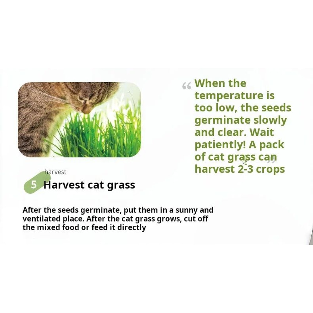 Hydroponic Cat Grass Growing Kit 7