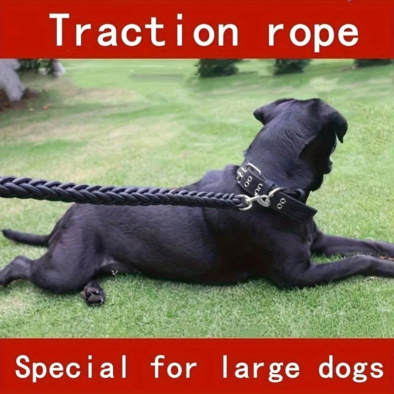 Braided Dog Leash For Training Walks 0