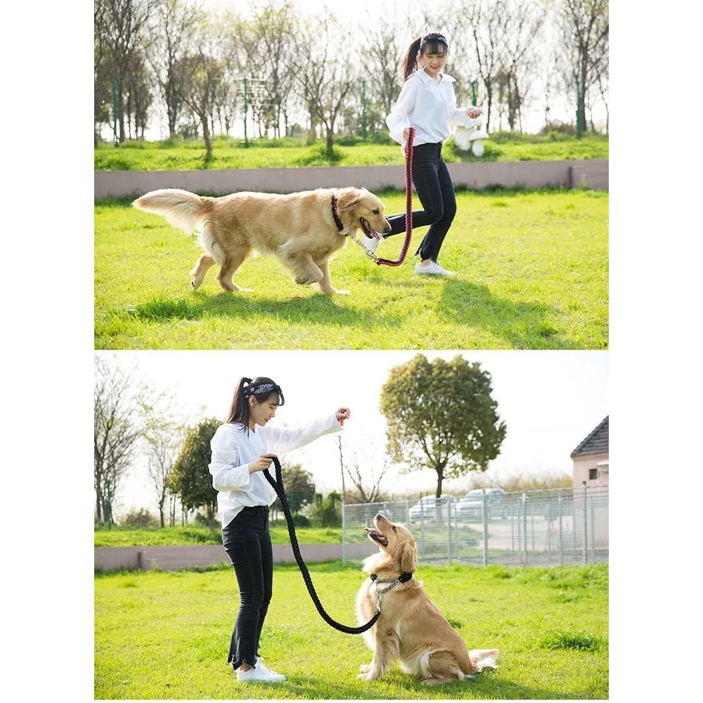 Braided Dog Leash For Training Walks 16