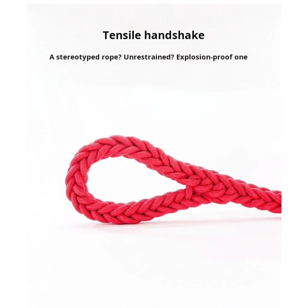 Braided Dog Leash For Training Walks 12