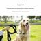 Braided Dog Leash For Training Walks 14