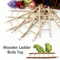 Wooden Bird Climbing Ladder Toy 1