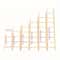 Wooden Bird Climbing Ladder Toy 6