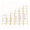Wooden Bird Climbing Ladder Toy 6