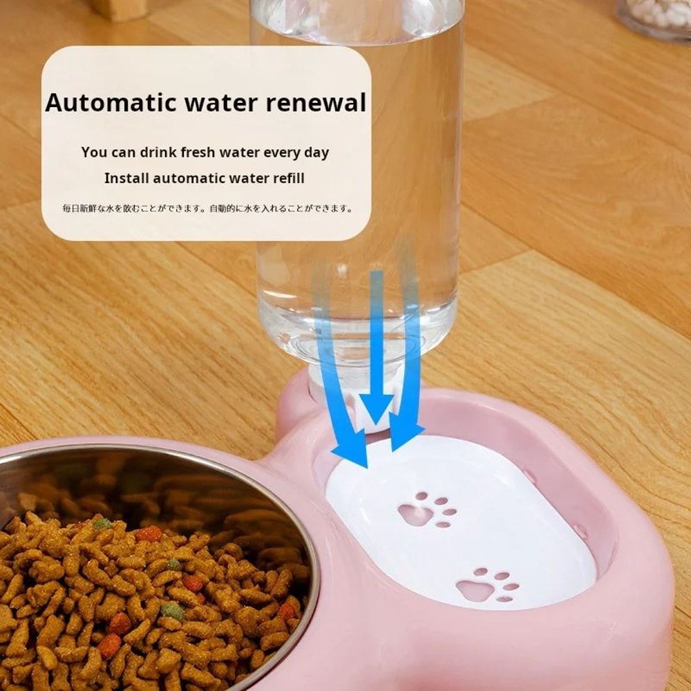 Double Cat Bowl With Automatic Water Bottle 4