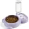 Double Cat Bowl With Automatic Water Bottle 9
