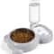 Double Cat Bowl With Automatic Water Bottle 10