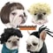 Funny Pet Wig Costume Accessory 0