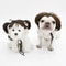 Funny Pet Wig Costume Accessory 3