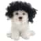 Funny Pet Wig Costume Accessory 4