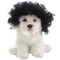 Funny Pet Wig Costume Accessory 4