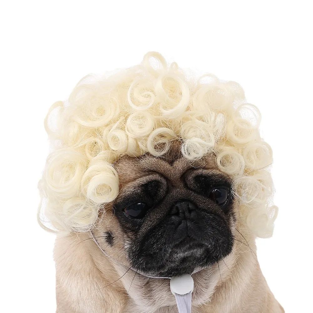 Funny Pet Wig Costume Accessory 7