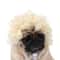 Funny Pet Wig Costume Accessory 7