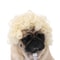Funny Pet Wig Costume Accessory 7