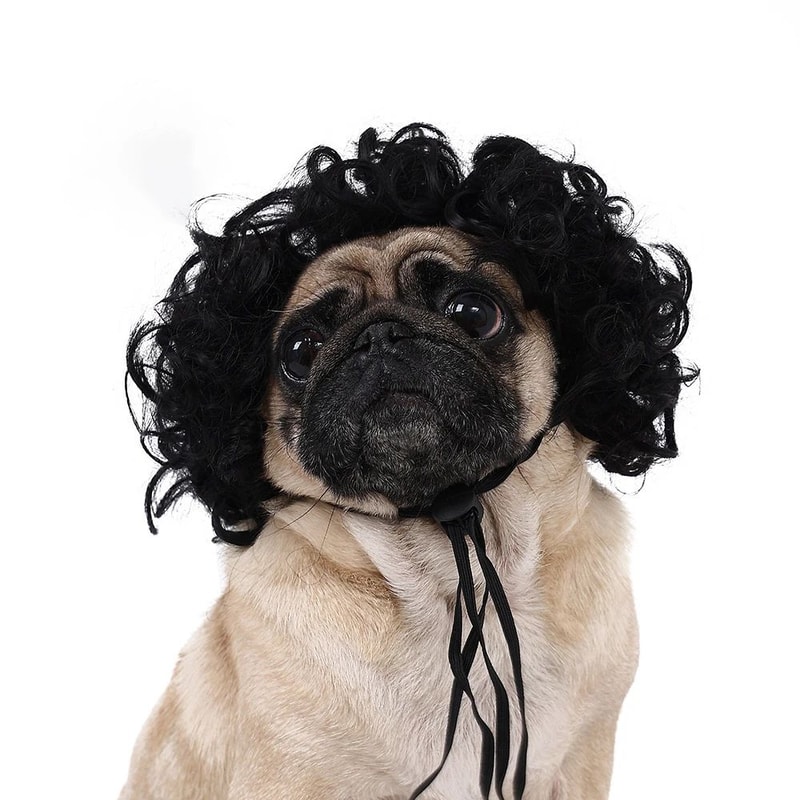 Funny Pet Wig Costume Accessory 8