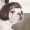 Funny Pet Wig Costume Accessory 9