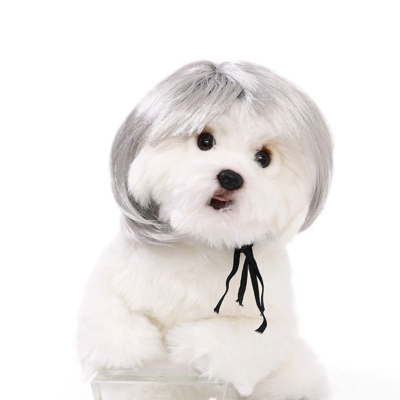 Funny Pet Wig Costume Accessory 11