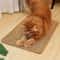 Natural Sisal Cat Scratching Mat 0