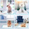 Disposable Dog Training Pee Pads 3
