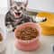 Ceramic Raised Cat Bowl Feeding Set 1