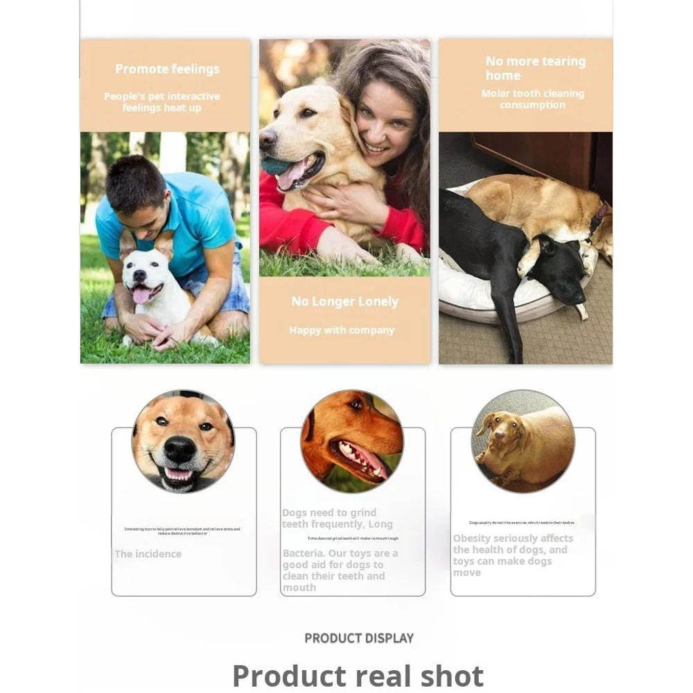 Animal Shaped Squeaky Dog Chew Toys 10