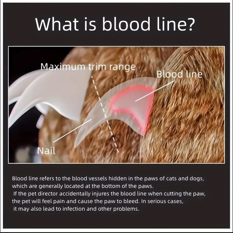 Professional Pet Nail Clipper Scissors 2