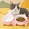 Ceramic Tilted Double Pet Bowl Set 0