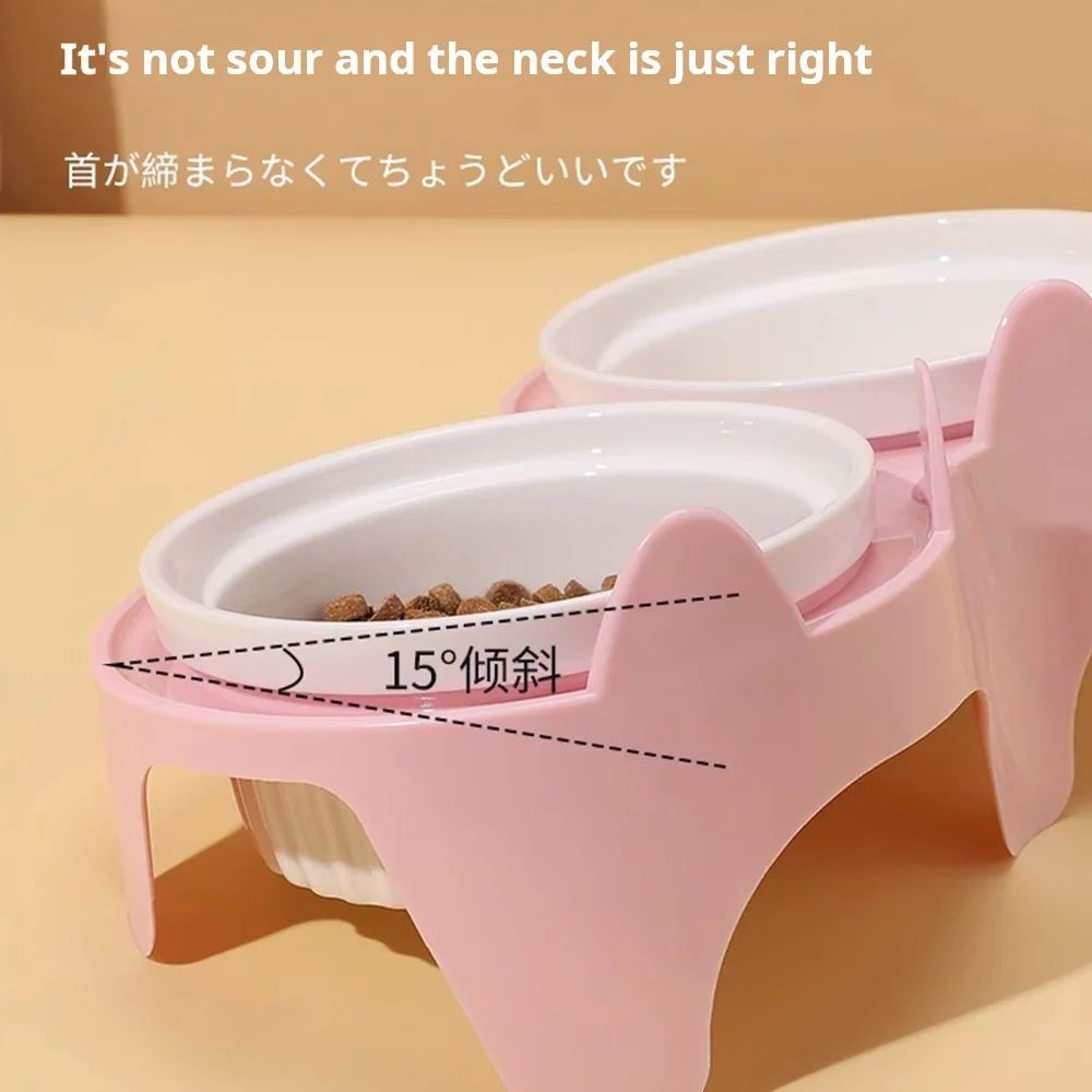 Ceramic Tilted Double Pet Bowl Set 1