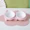 Ceramic Tilted Double Pet Bowl Set 9