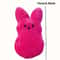 Easter Bunny Plush Dog Chew Toy 1