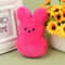 Easter Bunny Plush Dog Chew Toy 7