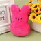 Easter Bunny Plush Dog Chew Toy 7